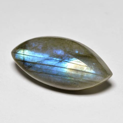 Multicolore Labradorite Gem - 12.3ct Cabochon taglio marquise (ID: 594870)