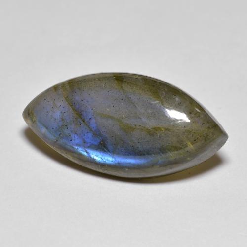 Multicolore Labradorite Gem - 10.6ct Cabochon taglio marquise (ID: 596658)