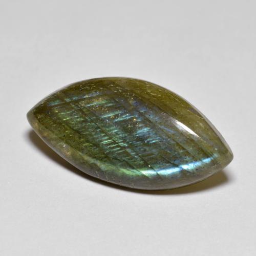 Multicolor Labradorite Gem - 9.5ct Marquise Cabochon (ID: 596664)