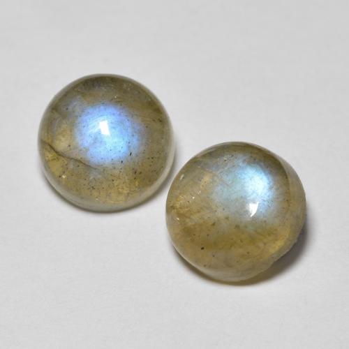 2 Stück runder mehrfarbiger Labradorit in der Größe 7,1mm, Gewicht 2,98 ct gesamt / durchschn. Je 1,49 ct, Mehrfarbig in Transparent Reinheit, Natürlicher Edelstein, Mohs-Härte 6 - 6,5 , Photo A