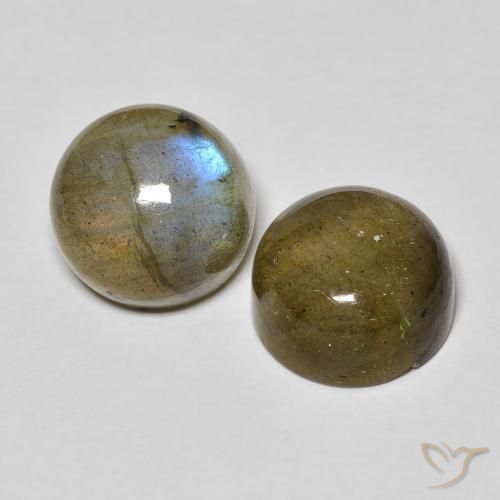 10.32 ctw Multicolor Labradorite Stones, Natural Labradorite in Round Cabochon Shape for Sale