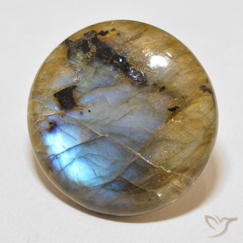 31.45 ct Multicolor Labradorite Stone, Natural Labradorite in Round Cabochon Shape for Sale
