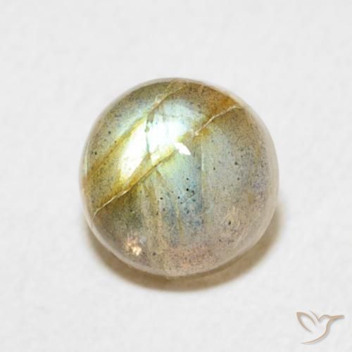 1.66 ct Multicolor Labradorite Stone, Natural Labradorite in Round Cabochon Shape for Sale