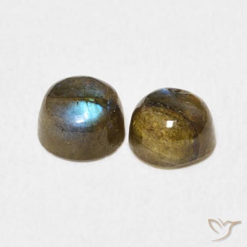 Labradorite Gemstones in 5.3 mm Size for Sale, Labradorite Stones in Multicolor Color
