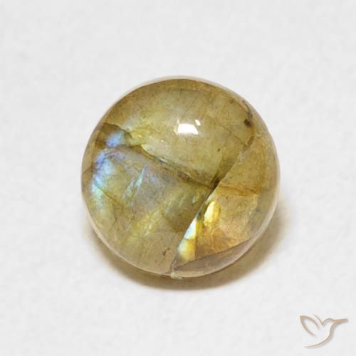 1.33 ct Multicolor Labradorite Stone, Natural Labradorite in Round Cabochon Shape for Sale