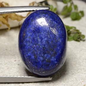 14.9ct Oval Cabochon Blue Lapis Lazuli Gem for sale 14.9ct Oval Cabochon Blue Lapis Lazuli Gem (ID: 485092)