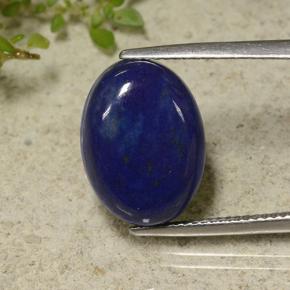 Very Deep Blue Lapis Lazuli Gem - 13.3ct Oval Cabochon (ID: 499159)