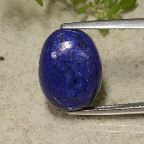 11.2ct Oval Cabochon Blue Lapis Lazuli Gem for sale 11.2ct Oval Cabochon Blue Lapis Lazuli Gem (ID: 499162)