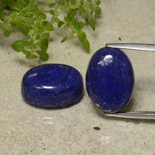 Bleu foncé Lapis-lazuli gemme - 12.5ct Ovale Cabochon (ID: 499169)