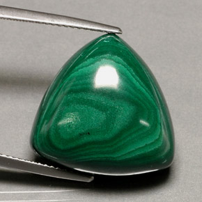 34.16 ct Green Malachite Gemstone, Malachite Gem in Trillion Cabochon Shape for Sale.