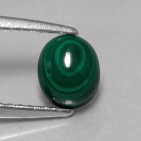 1.51 ct Green Malachite Stone, Natural Malachite in Oval Cabochon Shape for Sale