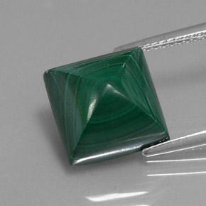 Medium Green Malachite Gem - 10.6ct Square Sugarloaf Cabochon (ID: 341949)