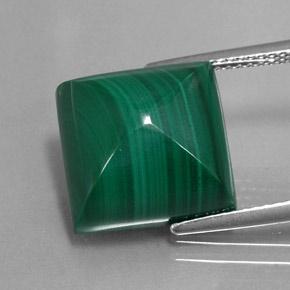 Medium Green Malachite Gem - 15.4ct Square Sugarloaf Cabochon (ID: 342098)