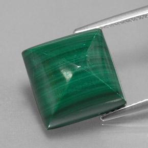 15.8ct Square Sugarloaf Cabochon Multicolor Green Malachite Gem for sale 15.8ct Square Sugarloaf Cabochon Multicolor Green Malachite Gem (ID: 342100)