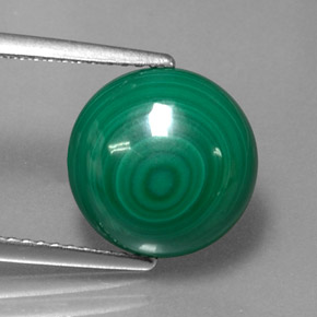 7.16 ct Green Malachite Gemstone, Malachite Gem in Round Cabochon Shape for Sale.