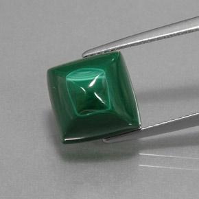 Medium Green Malachite Gem - 9.7ct Square Sugarloaf Cabochon (ID: 370576)