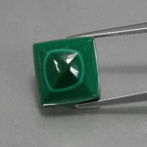 15.6ct Square Sugarloaf Cabochon Multicolor Green Malachite Gem for sale 15.6ct Square Sugarloaf Cabochon Multicolor Green Malachite Gem (ID: 370619)