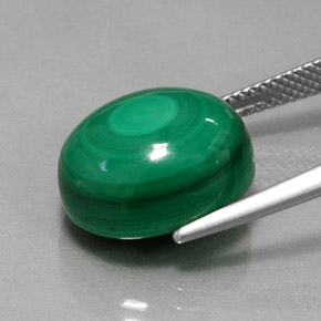 Malachite Gemstone in 14 x 12 mm (calibrated) Size for Sale, Malachite Stone in Multicolor Green Color