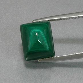 Verde multicolore Malachite Gem - 11.2ct Baguette Sugarloaf Cabochon (ID: 371205)