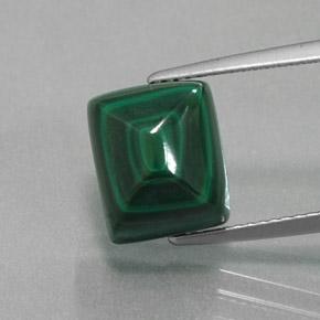 Malachite 10,9 x 9,1mm verde Baguette Pan di Zucchero Cabochon dal Congo, peso di 9,95 ct, gemma naturale non trattati in purezza Opaque, 1 pezzo Malachite - Colore: Verde medio, durezza Mohs di 3,5 - 4, Photo A