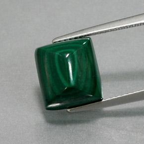 Malachite 10,3 x 9,5mm verde Baguette Pan di Zucchero Cabochon dal Congo, peso di 8,99 ct, gemma naturale non trattati in purezza Opaque, 1 pezzo Malachite - Colore: Verde medio, durezza Mohs di 3,5 - 4, Photo A