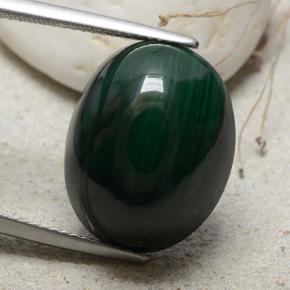 Forest Green Malachite Gem - 24.5ct Oval Cabochon (ID: 482283)
