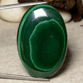 Pine Green Malachite Gem - 50.7ct Oval Cabochon (ID: 484006)