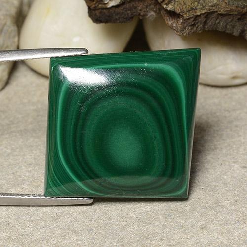 Multicolor Green Malachite Gem - 42ct Rhomb Cabochon (ID: 484009)