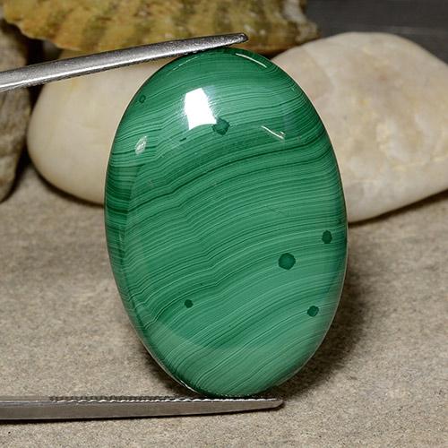 Medium Green Malachite Gem - 44.1ct Ovale cabochon (ID: 484060)