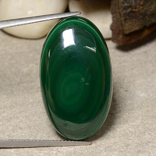 Pine Green Malachite Gem - 36.4ct Ovale cabochon (ID: 484069)