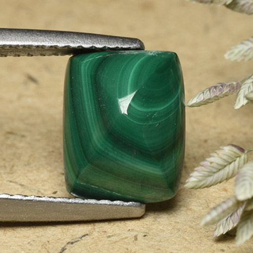 Medium Green Malachite Gem - 4.9ct Baguette Sugarloaf Cabochon (ID: 493447)