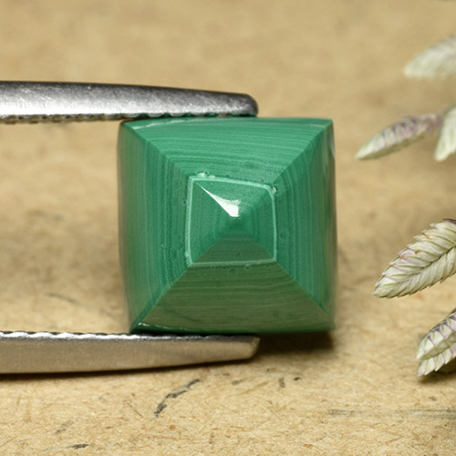 Medium Green Malachite Gem - 5.1ct Square Sugarloaf Cabochon (ID: 493450)
