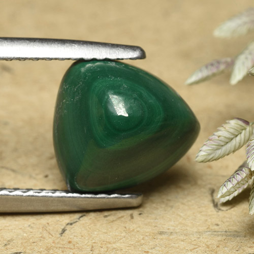 Verde pino Malaquita Gema - 5ct Trillón cabujón forma Sugarloaf (ID: 493453)