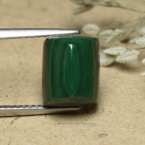 Medium Green Malachite Gem - 6.7ct Baguette Sugarloaf Cabochon (ID: 493462)