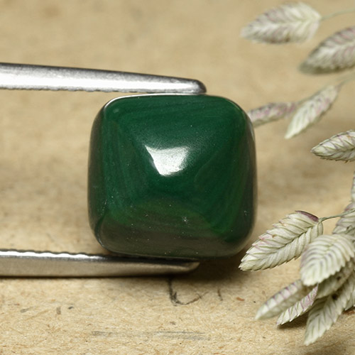 Medium Green Малахит Камень - 6.3ct Cushion Shape Sugarloaf Cabochon (ID: 493464)