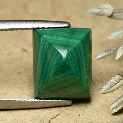 Medium Green Малахит Камень - 8.4ct Baguette Sugarloaf Cabochon (ID: 493470)