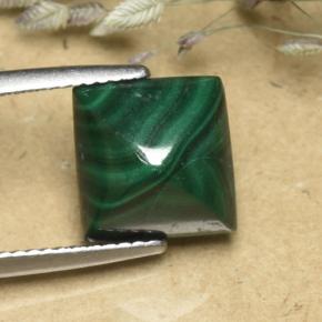 Medium Green Malachite Gem - 6.5ct Square Sugarloaf Cabochon (ID: 493942)
