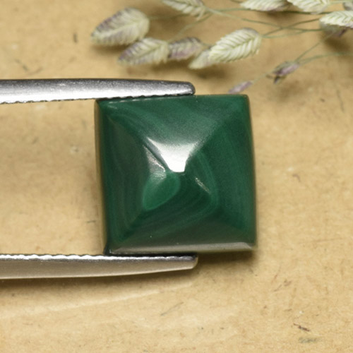 10,6 x 10,5mm Malachite verde taglio quadrato dal Congo, peso di 9,01 ct, pietra preziosa naturale non trattati in purezza Opaque, 1 pezzo Malachite Cabochon quadrato di Pan di Zucchero - Colore: Verde medio, durezza Mohs di 3,5 - 4 , Photo A