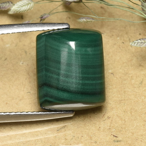 Medium Green Malachite Gem - 12.4ct Baguette Sugarloaf Cabochon (ID: 493977)