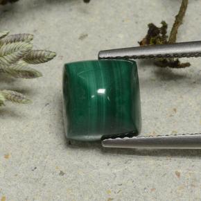 Medium Green Malachite Gem - 5.1ct Square Sugarloaf Cabochon (ID: 494157)
