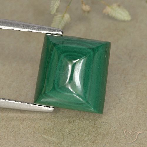 Malachite Vert square sugarloaf cabochon 10,6 x 10,2mm du Congo, poids de 9,52 ct, pierre gemme naturelle Non traité de pureté Opaque , 1 pièce de malachite, couleur : Vert multicolore, dureté de Mohs de 3.5 à 4, Photo A