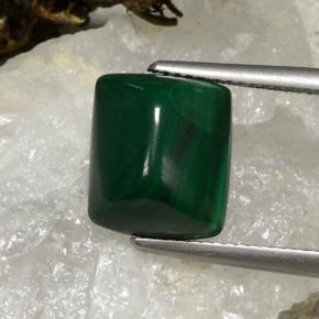 Deep Green Malachite Gem - 8.3ct Cushion Shape Sugarloaf Cabochon (ID: 494269)