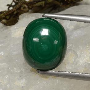 Multicolor Green Malachite Gem - 9.3ct Oval Cabochon (ID: 494270)
