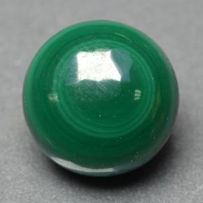 Clover Green Malachite Gem - 4.7ct Round Cabochon (ID: 500396)