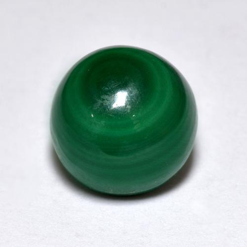 Medium Green Малахит Камень - 2.3ct Круглый Кабошон (ID: 518646)