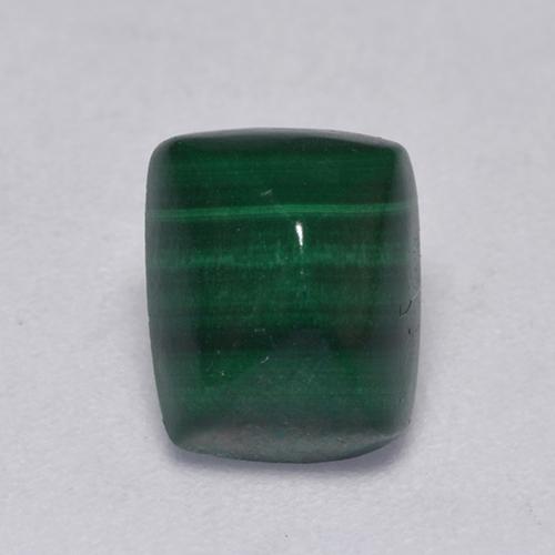 Medium Green Malachite Gem - 2.1ct Cushion Cabochon (ID: 526077)