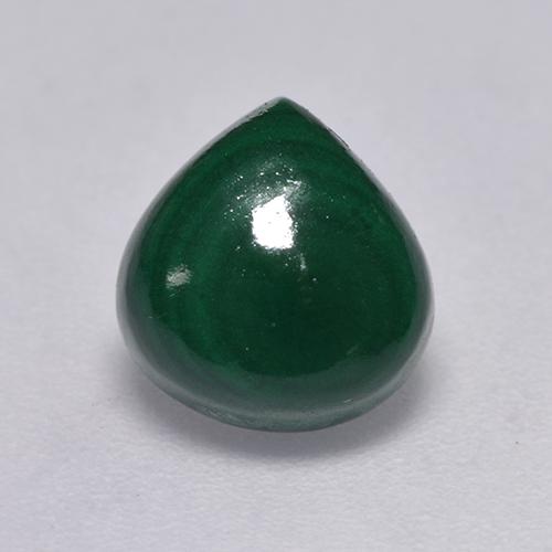 Pine Green Malachite Gem - 2.8ct Cabochon pera (ID: 526090)