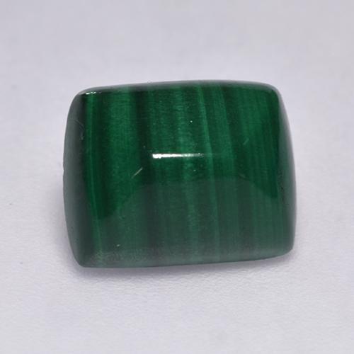 Medium Green Malachit Edelstein - 4.3ct Kissen Cabochon (ID: 526094)