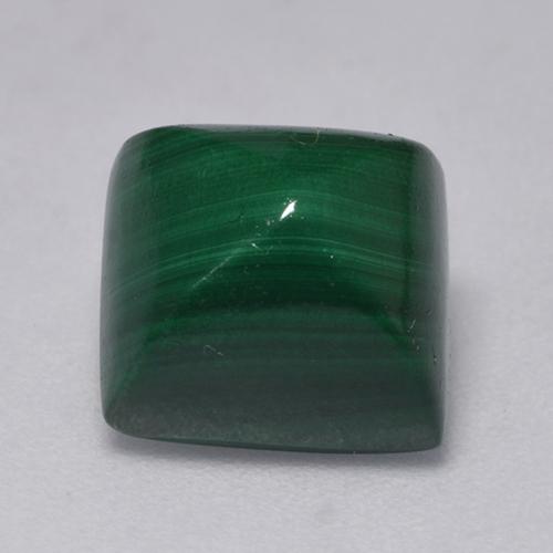 Medium Green Malachite Gem - 5.5ct Square Cabochon (ID: 526292)