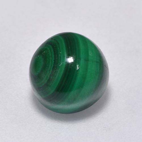 Multicolor Green Malachite Gem - 3.6ct Round Cabochon (ID: 526623)